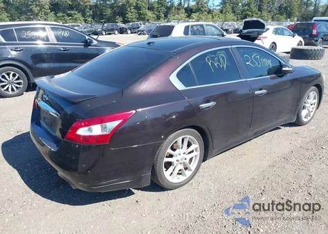 2010 Nissan Maxima 3.5 Sv from USA, damaged, VIN 1N4AA5AP9AC803051